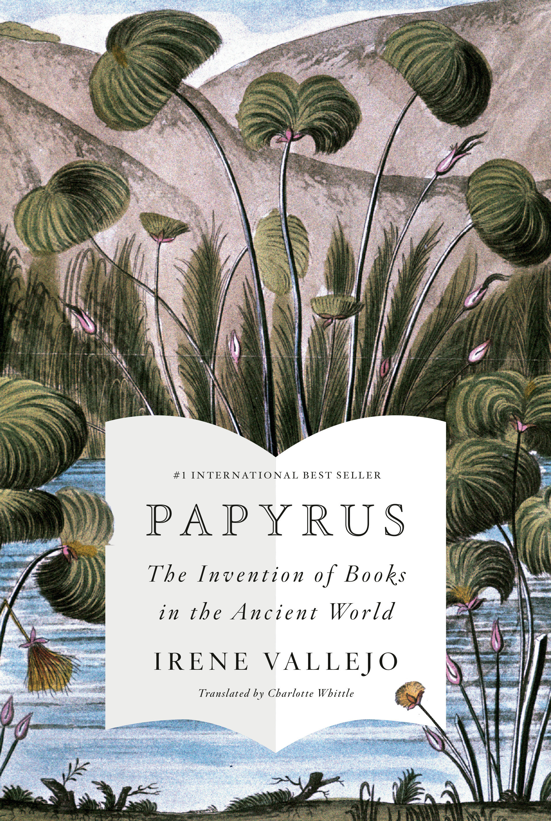 Papyrus by Irene Vallejo