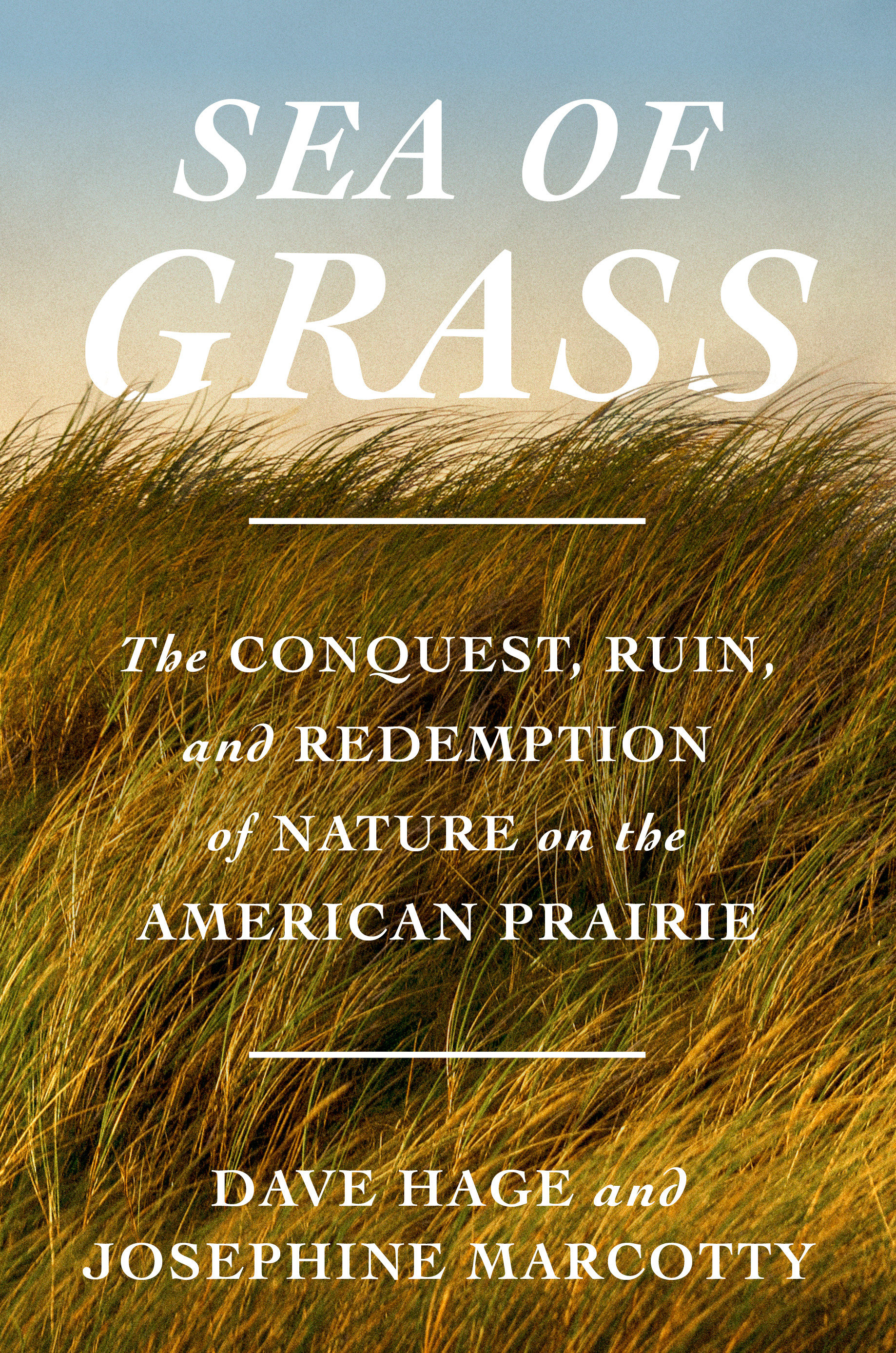 Sea of Grass by Dave Hage