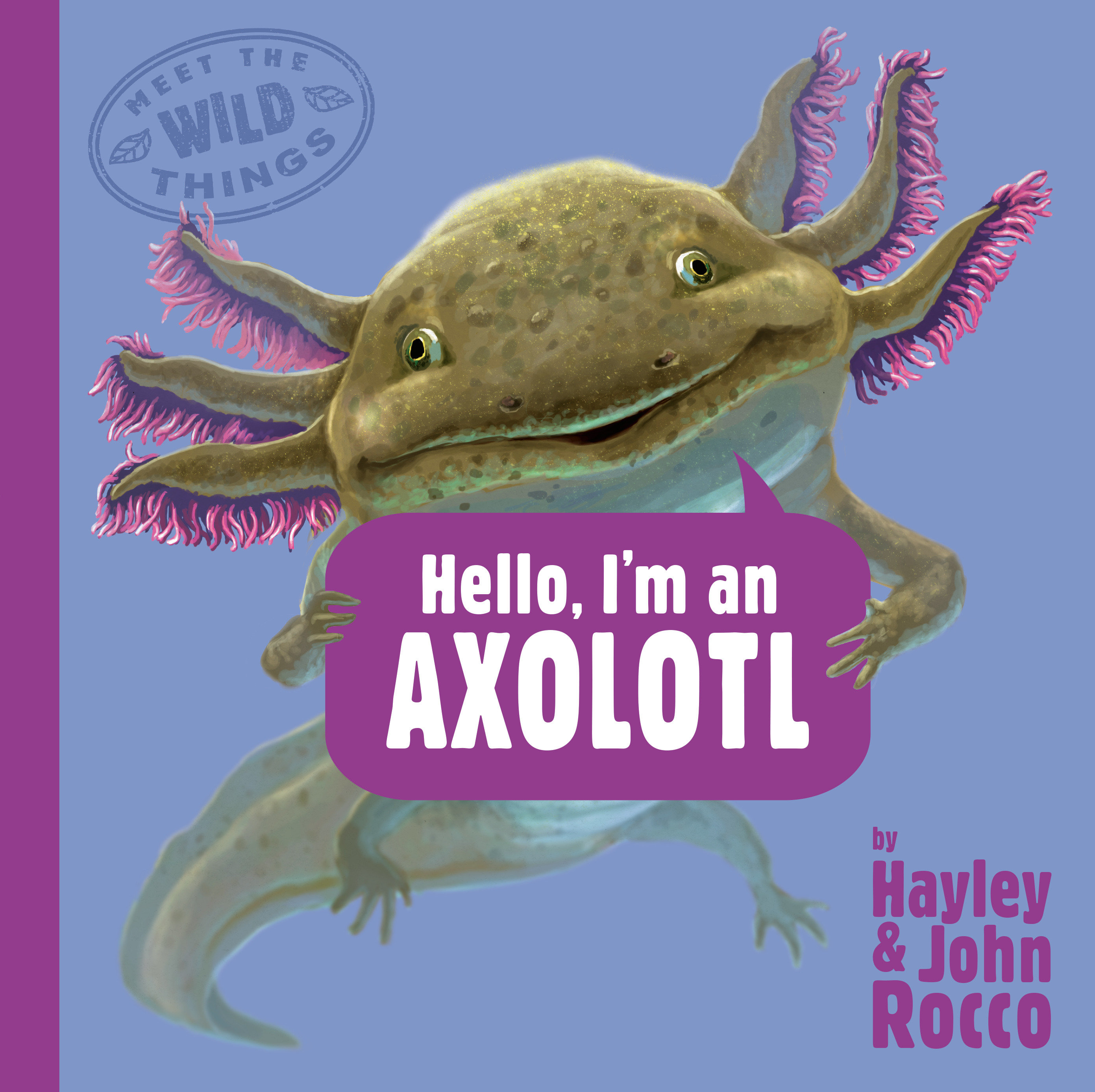 Hello, I'm an Axolotl by Hayley Rocco