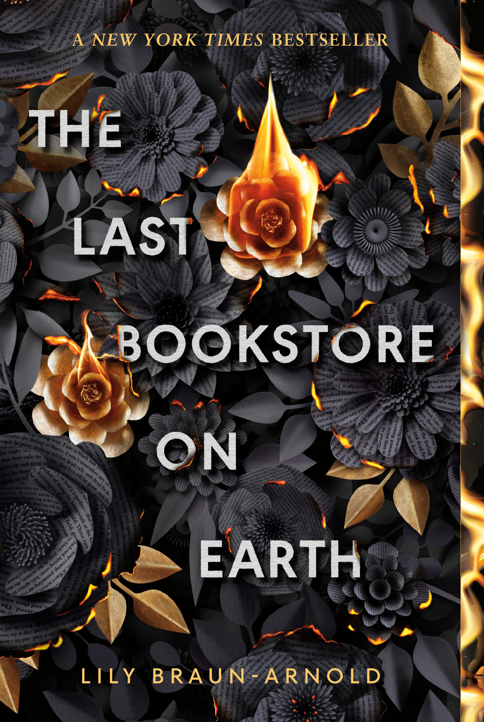 The Last Bookstore on Earth by Lily Braun-Arnold