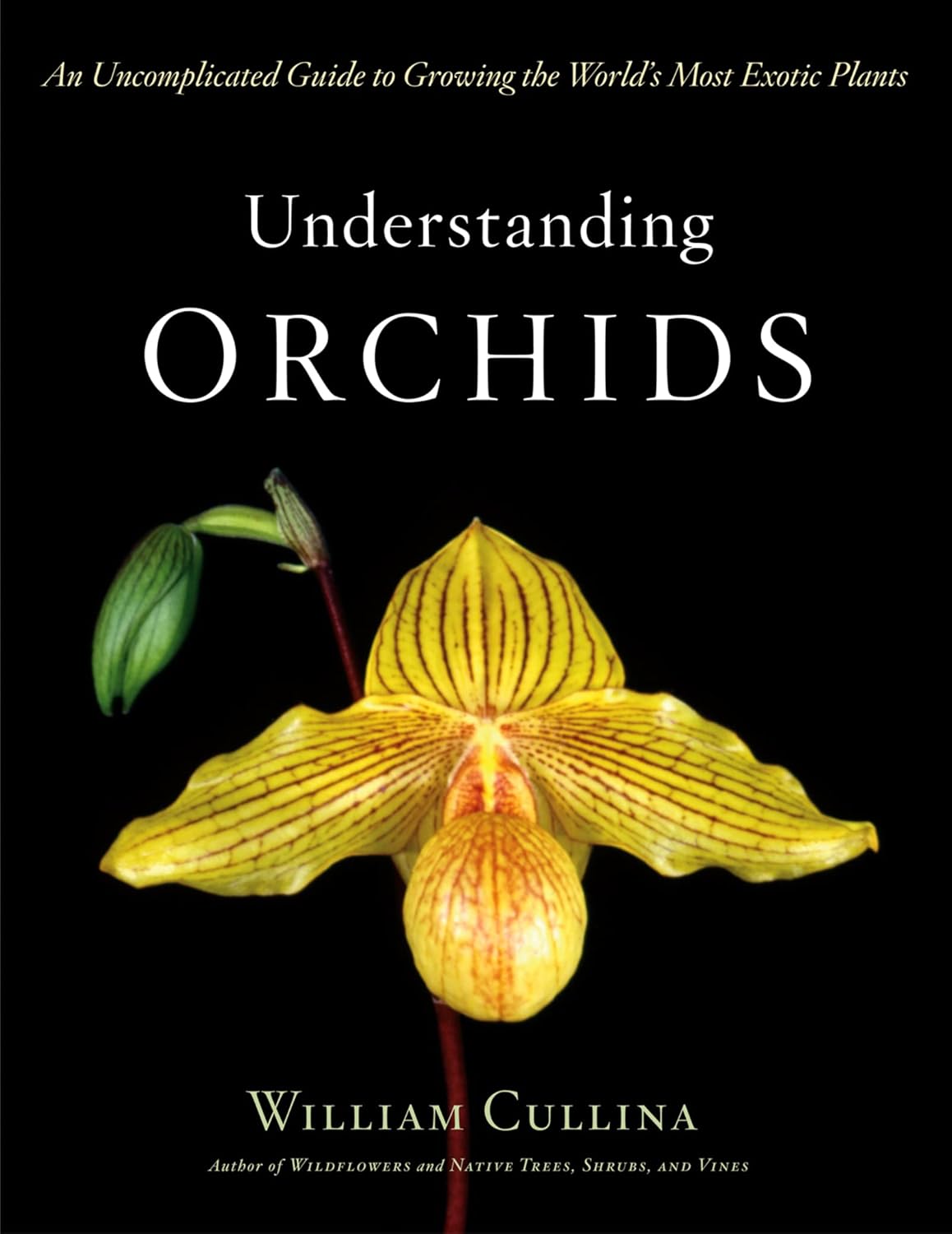 Understanding Orchids by William Cullina