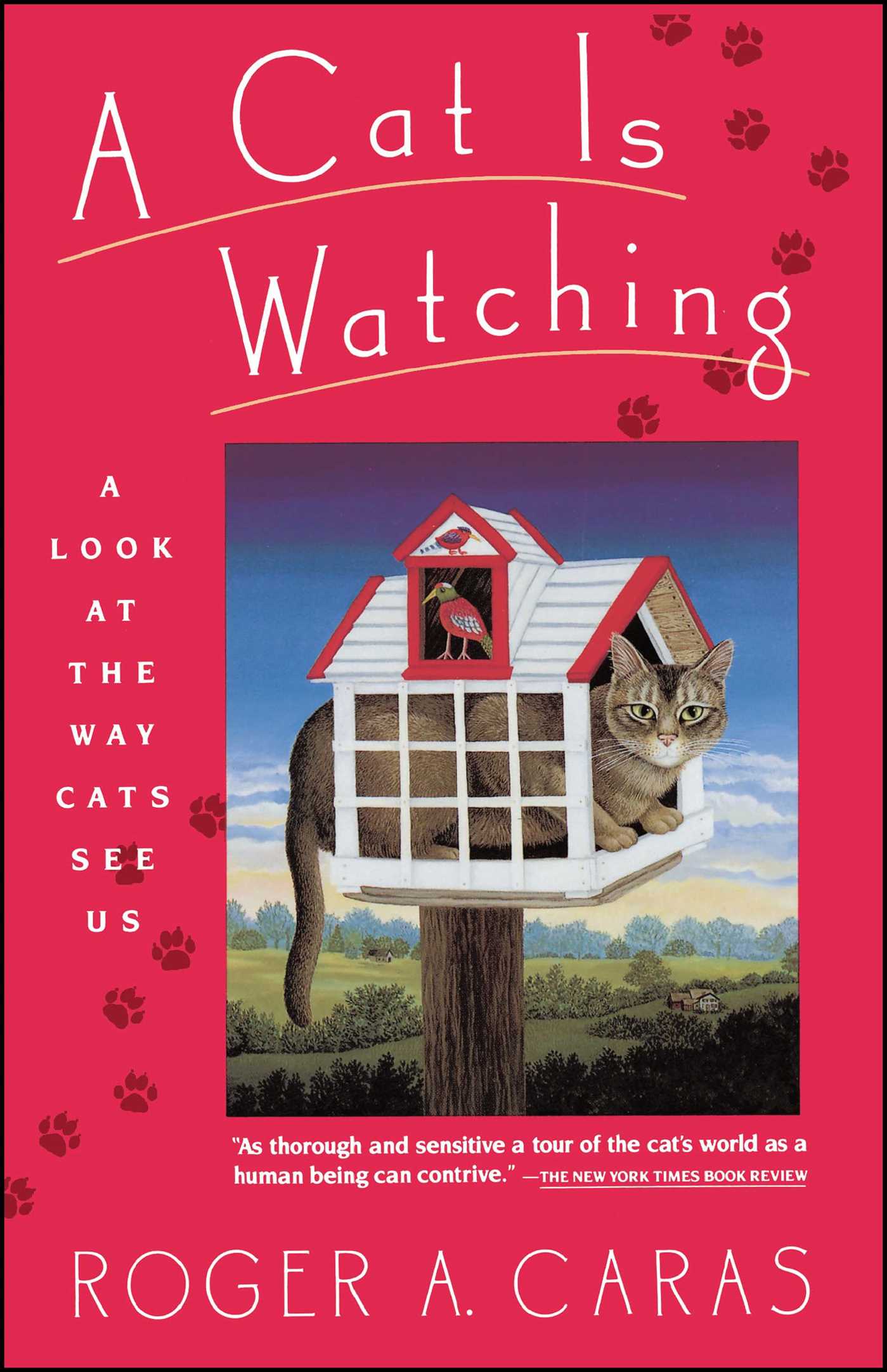 Cat Is Watching by Roger A. Caras