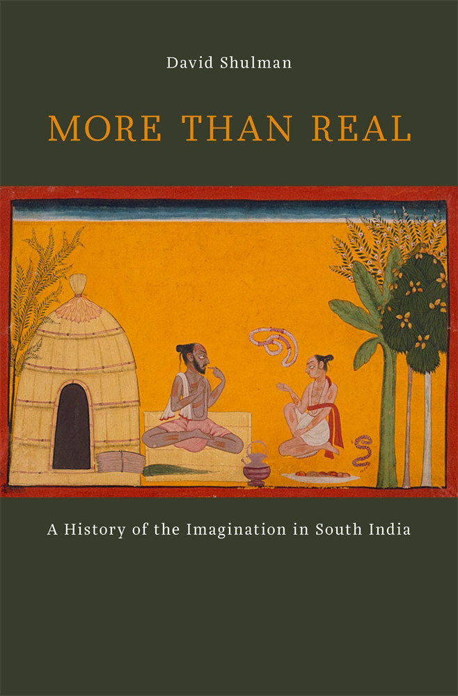 More Than Real by David Shulman