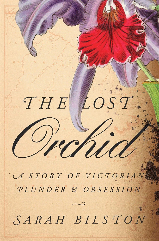 Lost Orchid by Sarah Bilston