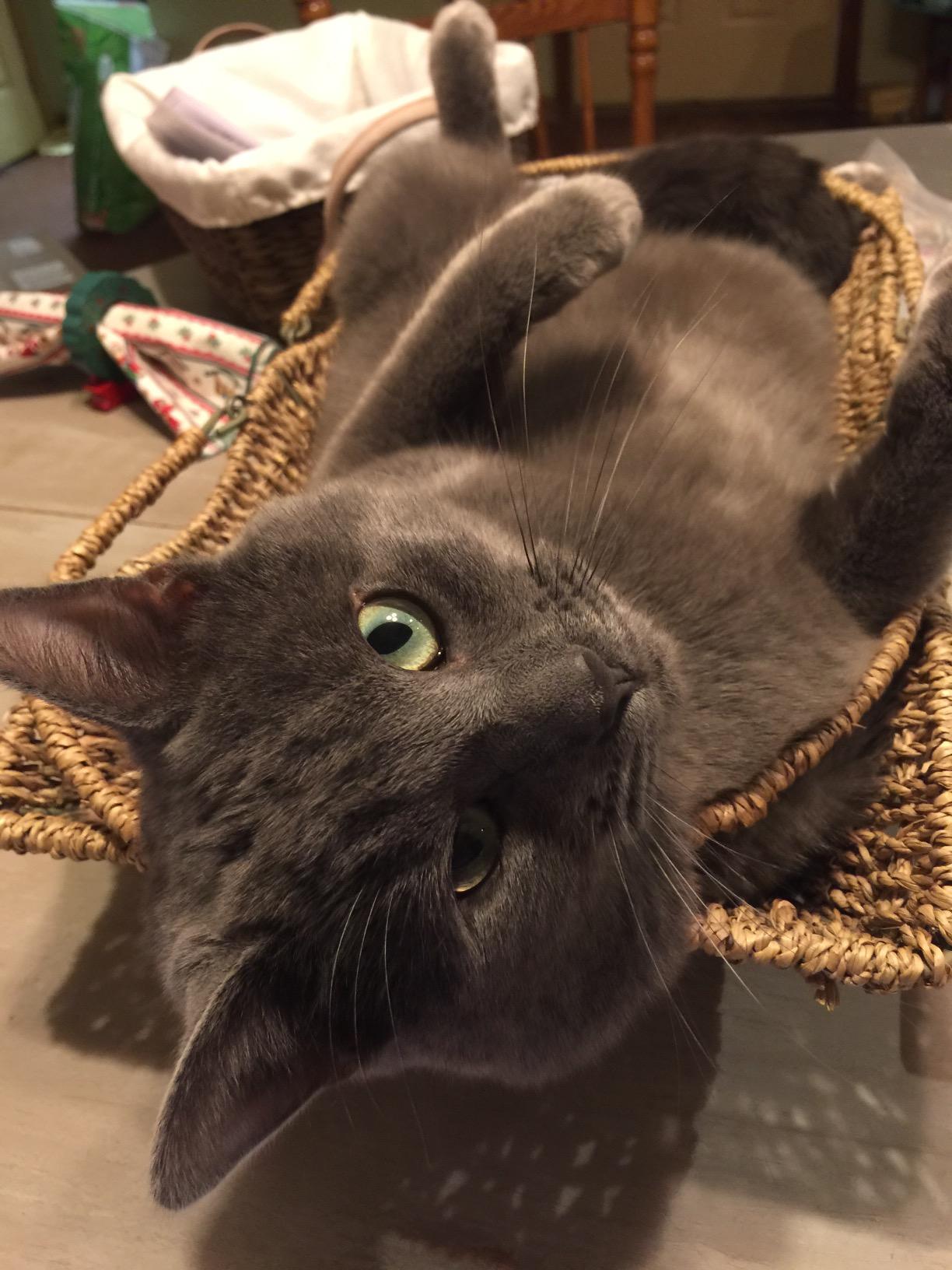 How to Manage Your Home Without Losing Your Mind by Dana K. White