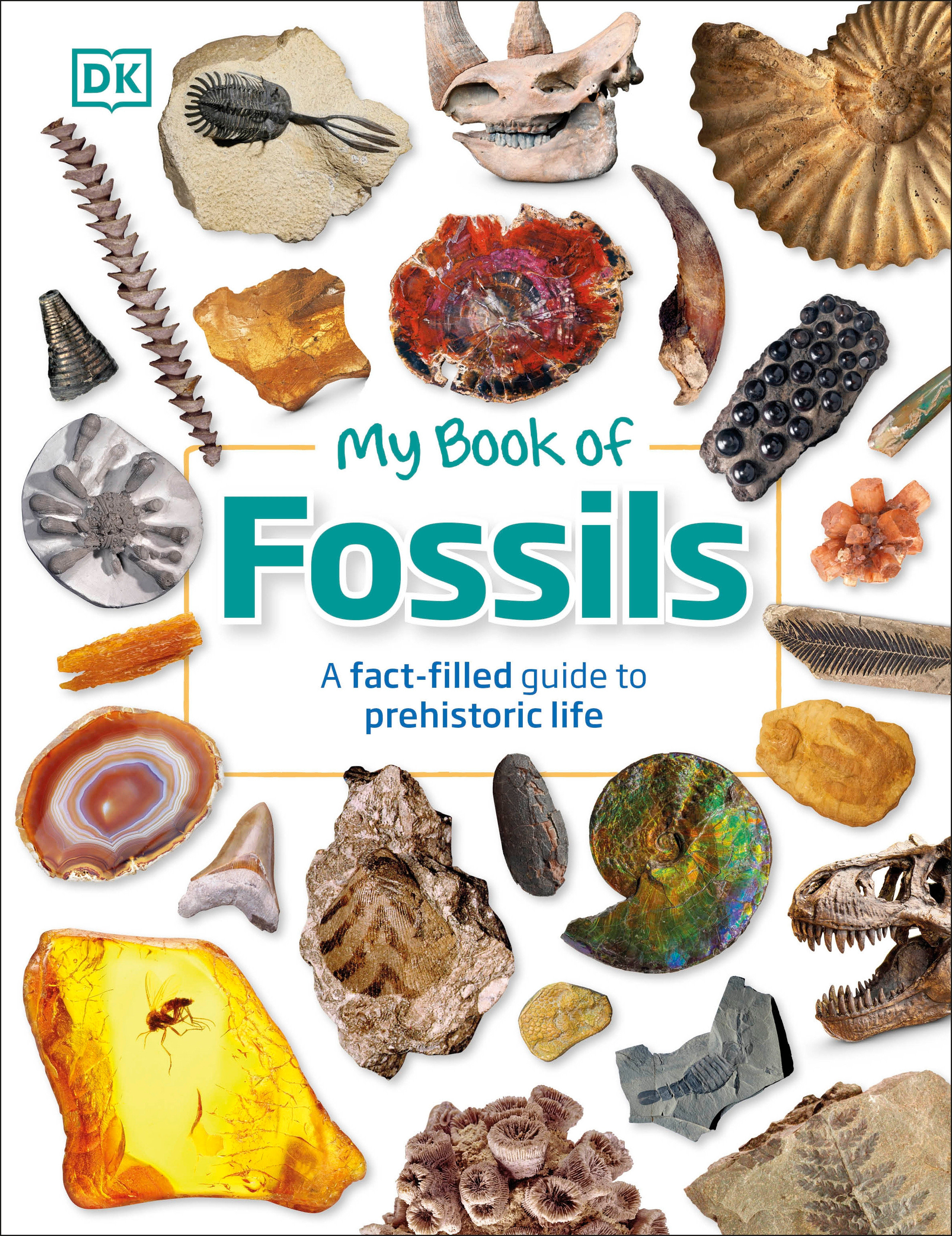 My Book of Fossils by Dean R. Lomax