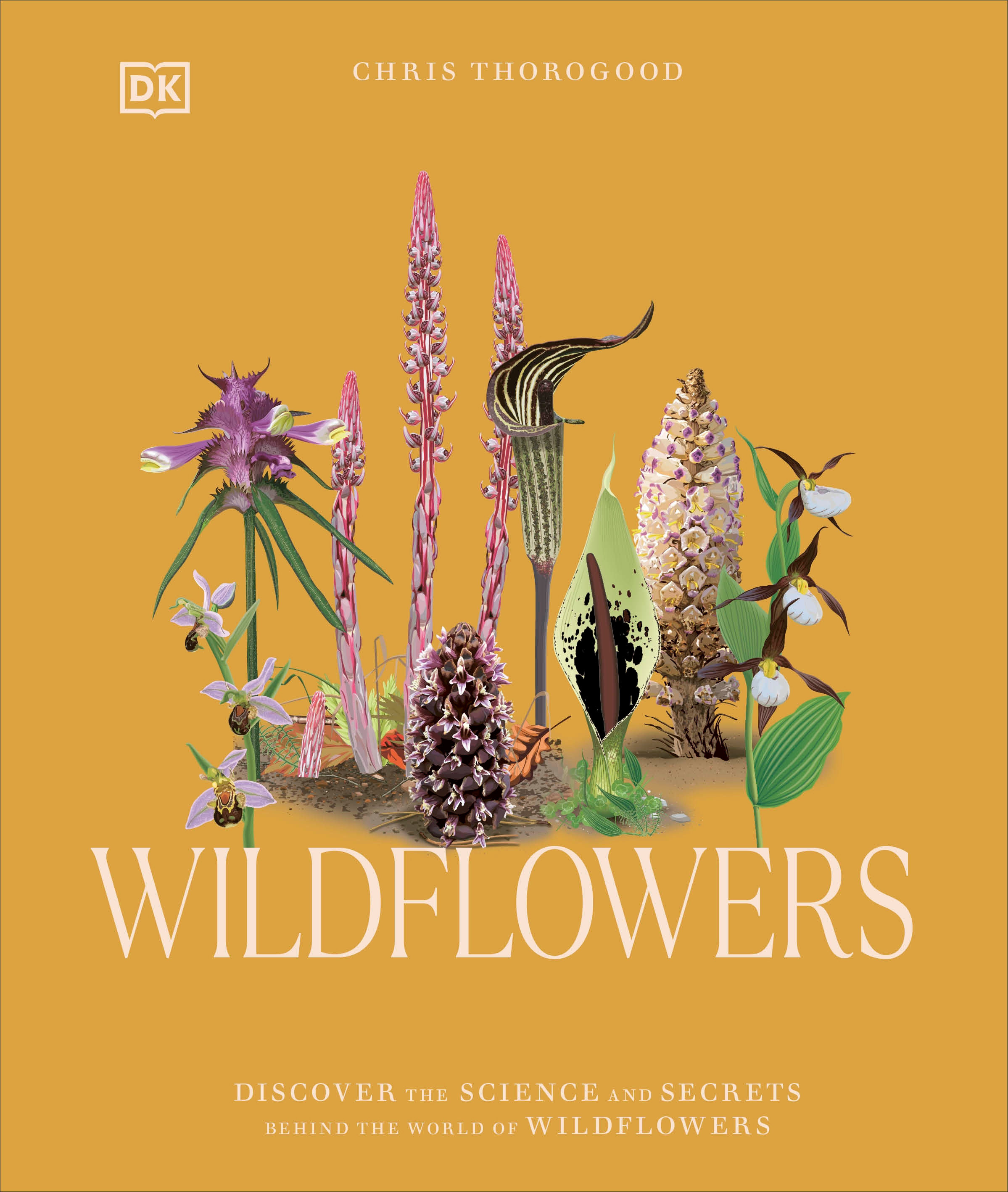 Wildflowers by Chris Thorogood