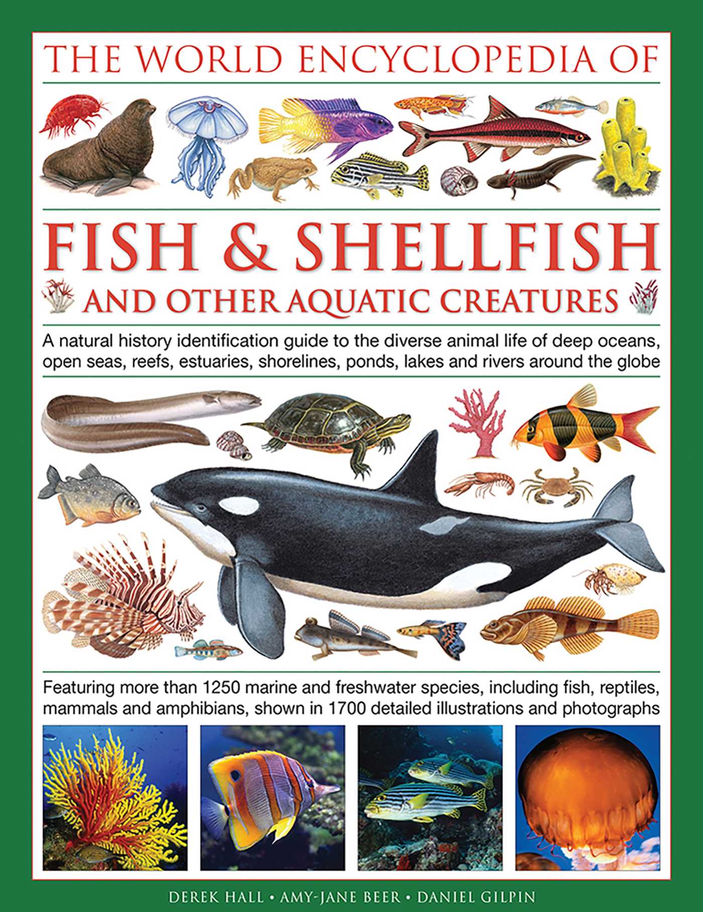 The Illlustrated Encyclopedia of Fish & Shellfish of the World by Derek Hall