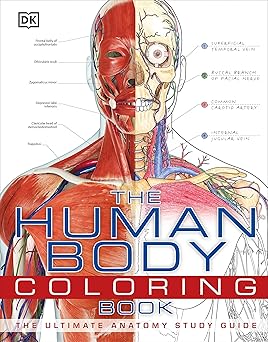 Human Body Coloring Book by DK
