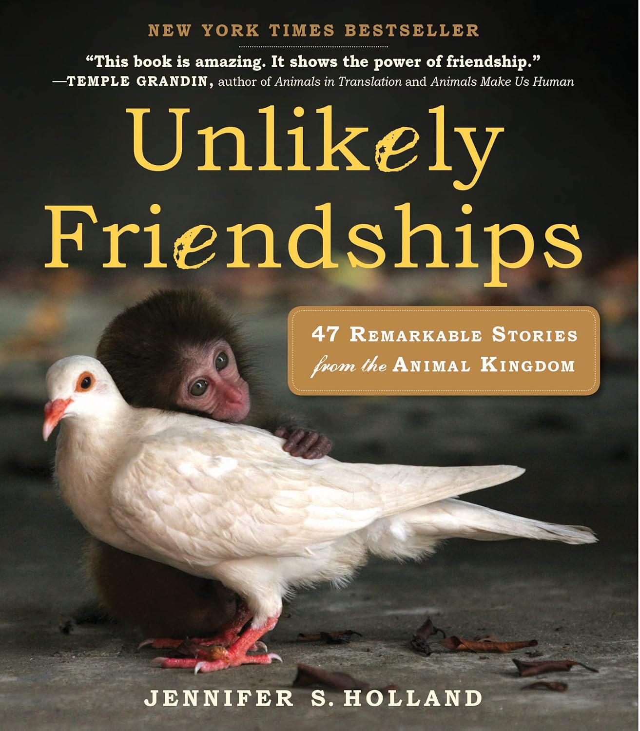 Unlikely Friendships by Jennifer S. Holland