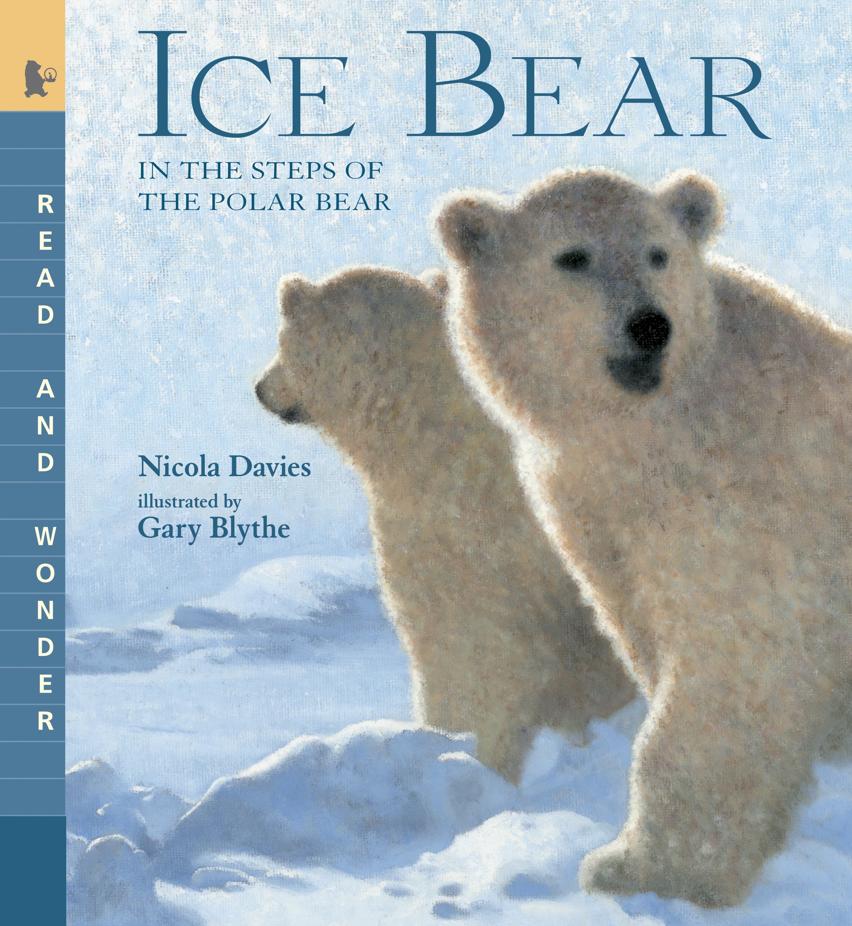 Ice Bear: in the Steps of the Polar Bear by Nicola Davies
