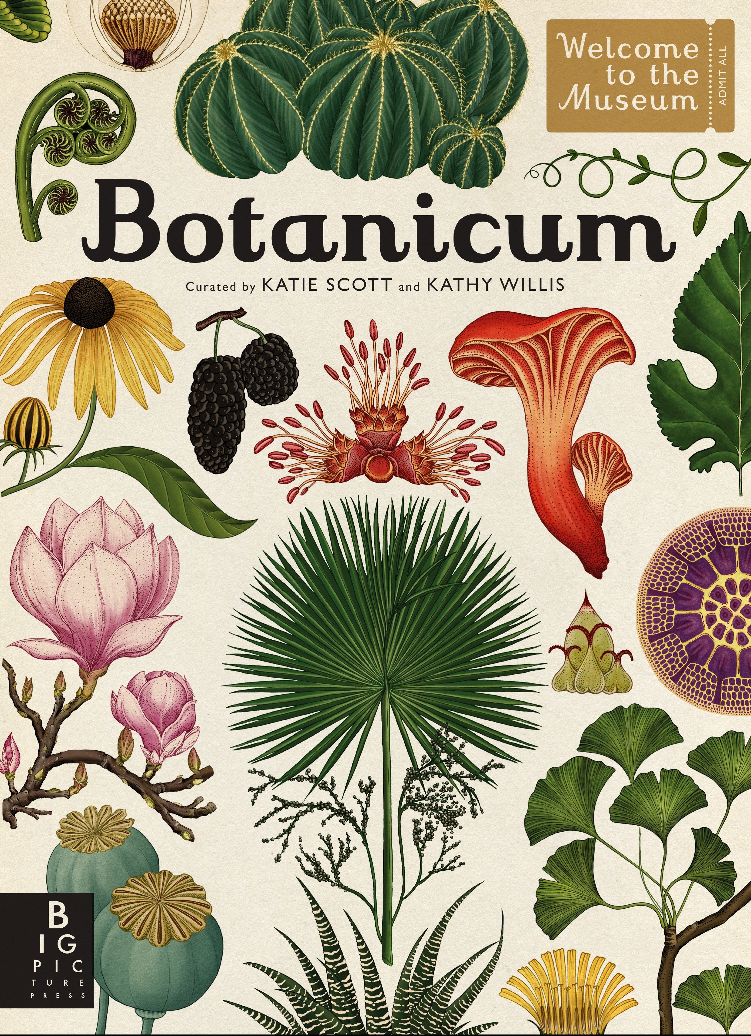 Botanicum by Kathy Willis