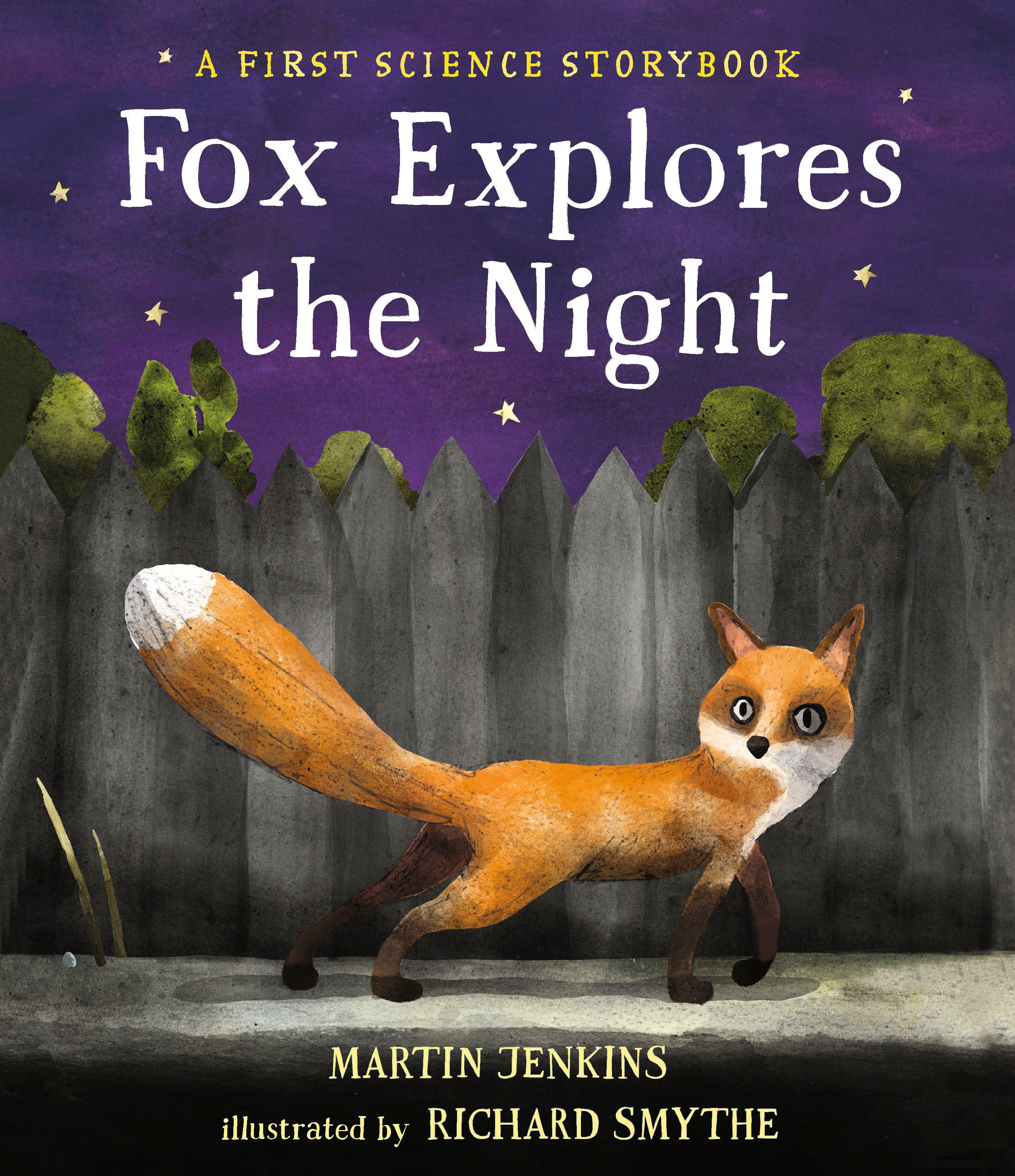 Fox Explores the Night: a First Science Storybook by Martin Jenkins