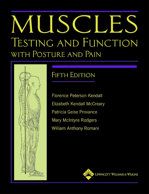 Muscles by Florence P Kendall