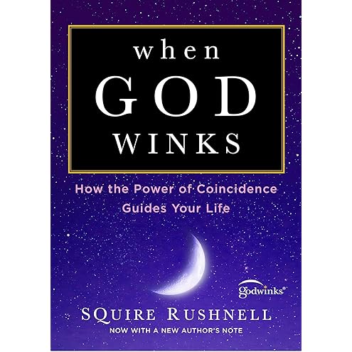 When God Winks at You by Squire Rushnell