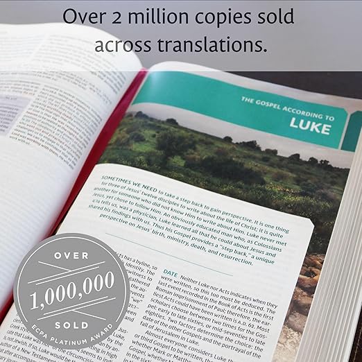 Breasts: the Owner's Manual