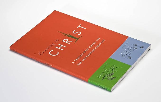 Proclaiming the Scandal of the Cross