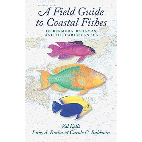 A Field Guide to Coastal Fishes by Valerie A. Kells
