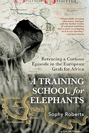 A Training School for Elephants by Sophy Roberts