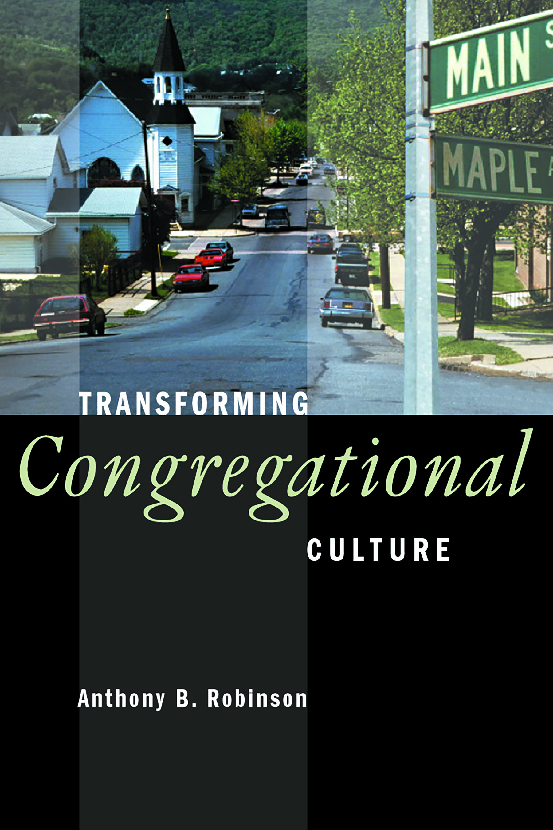 Transforming Congregational Culture by Anthony B. Robinson