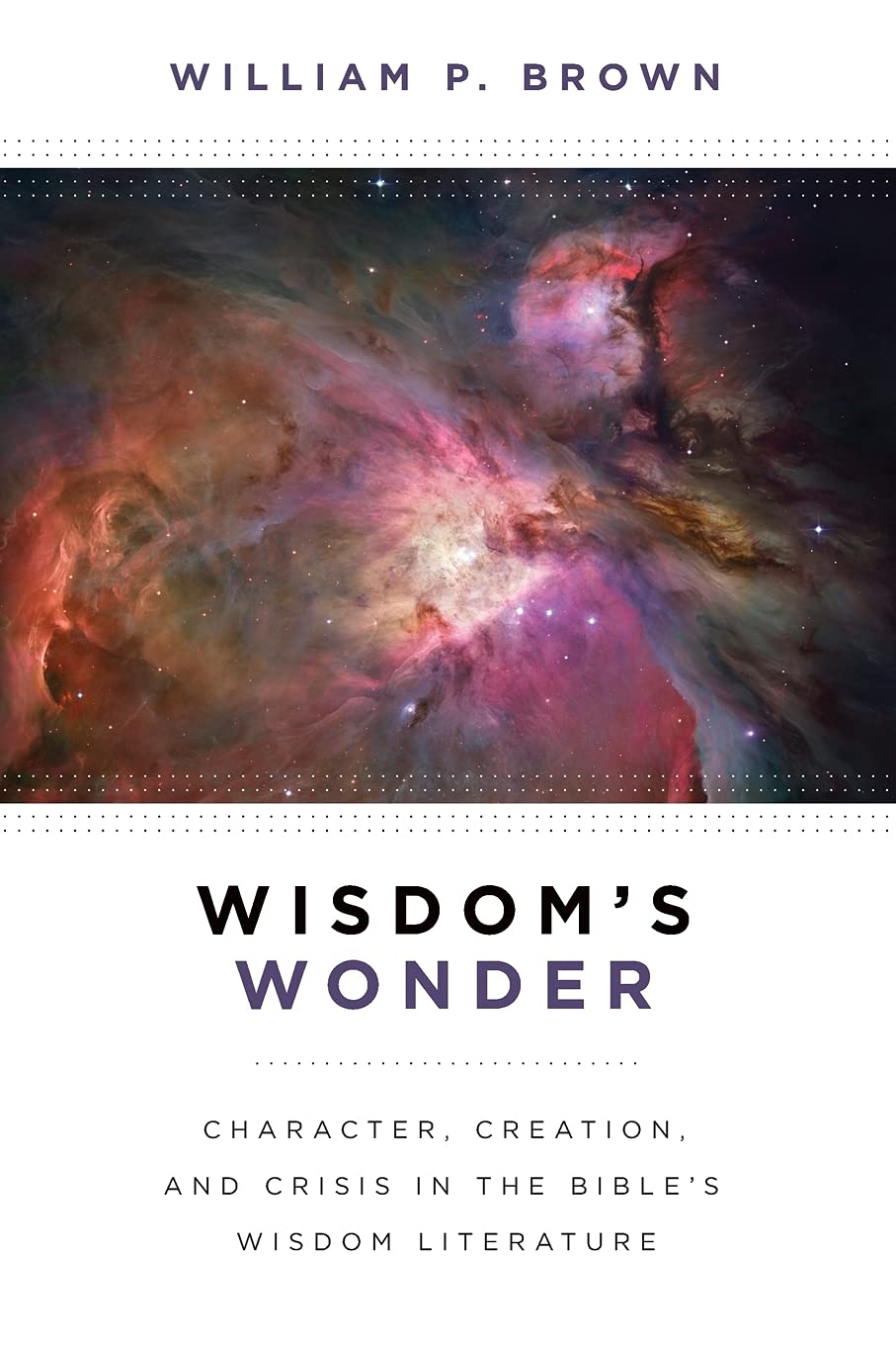 Wisdom's Wonder by William P. Brown