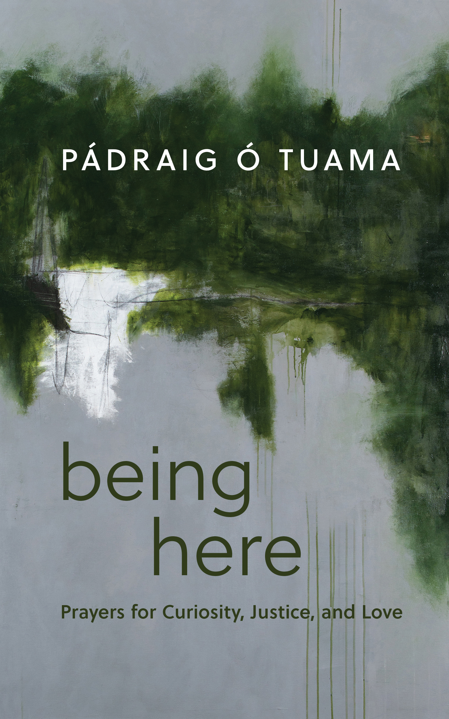 Being Here by Pádraig Ó Tuama