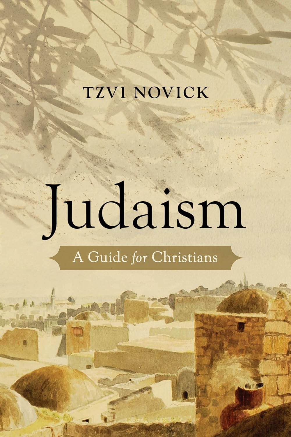 Judaism by Tzvi Novick