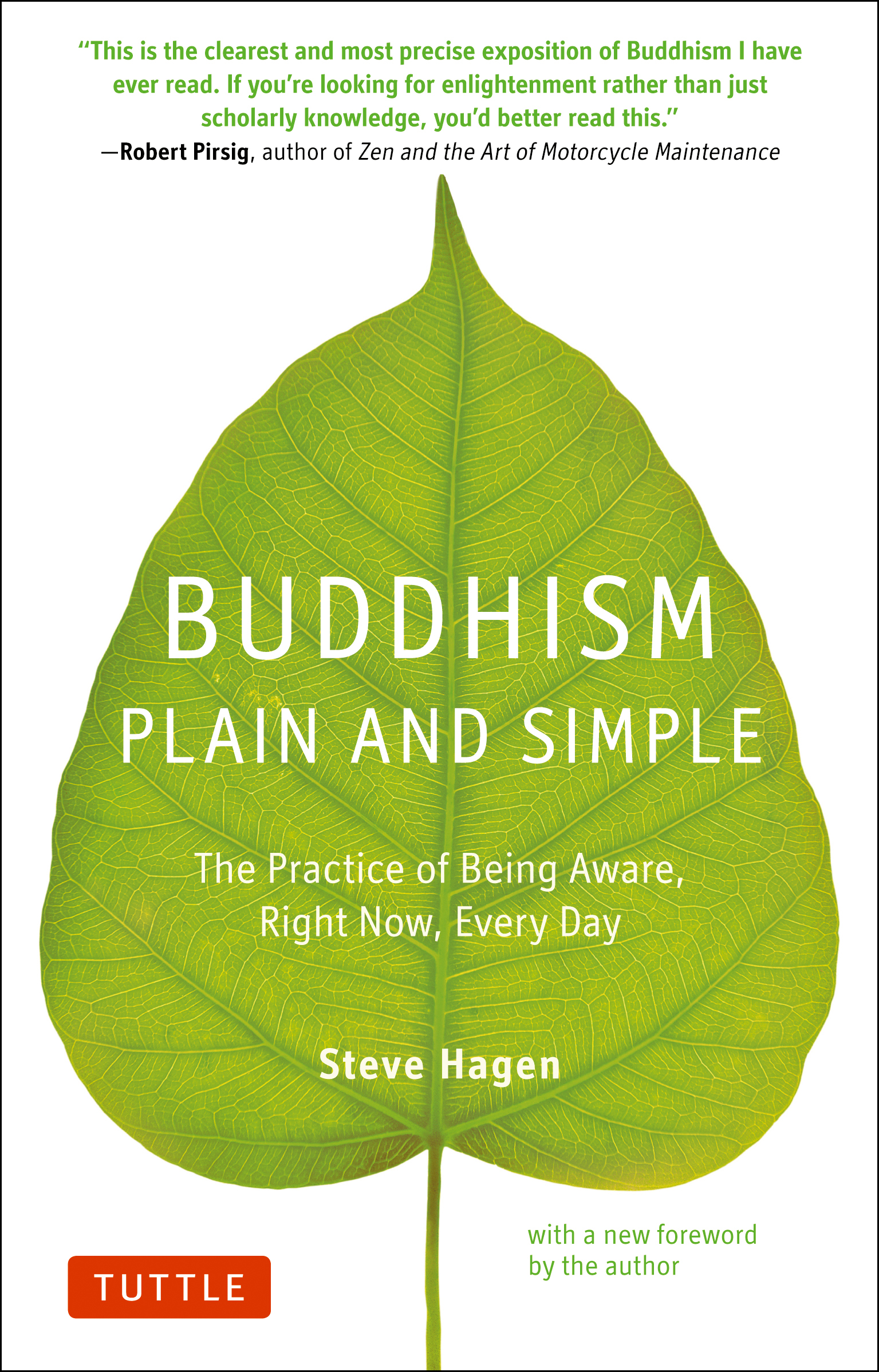 Buddhism Plain and Simple by Steve Hagen