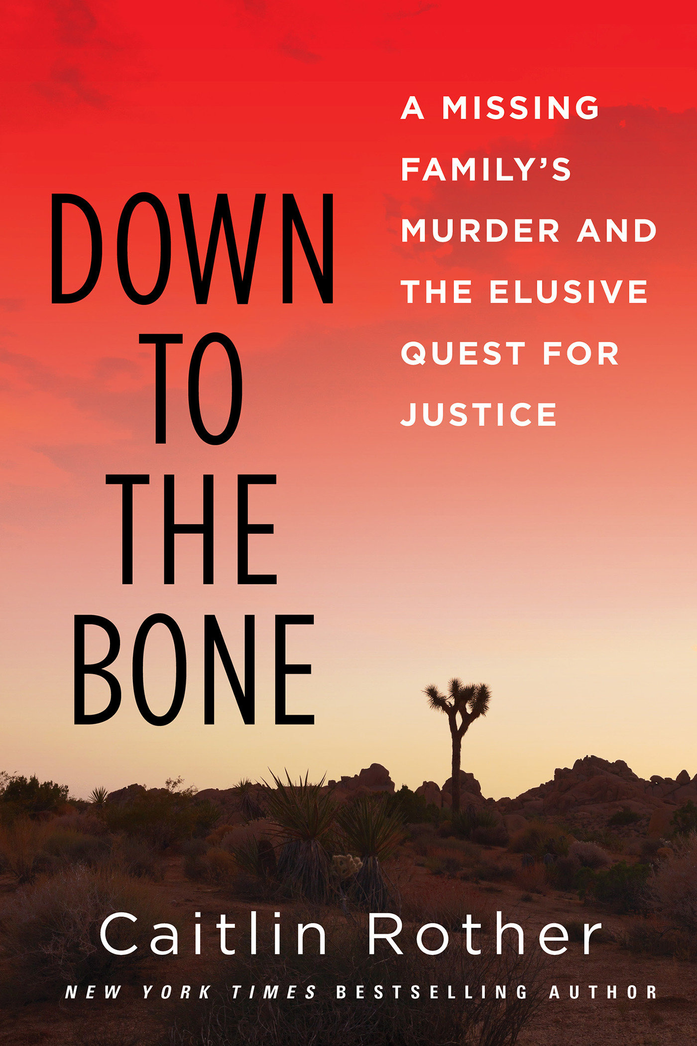 Down to the Bone by Caitlin Rother