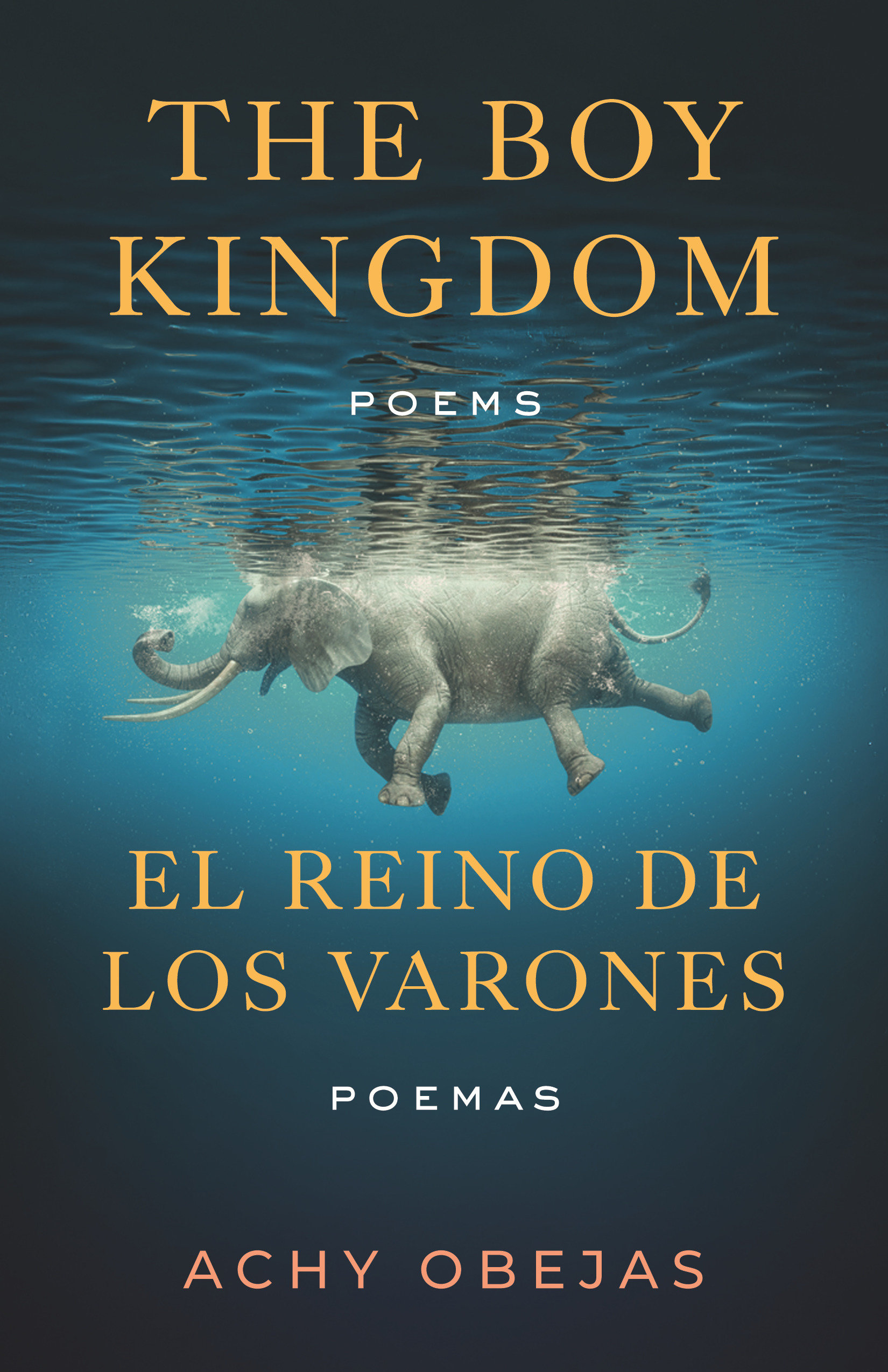 The Boy Kingdom / El Reino De Los Varones by Achy Obejas