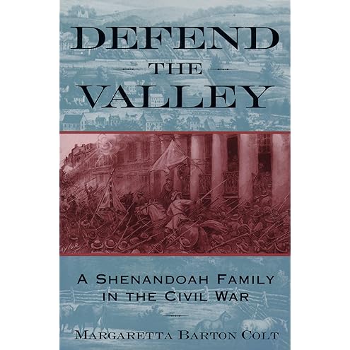 The Divided Family in Civil War America by Amy Murrell Taylor