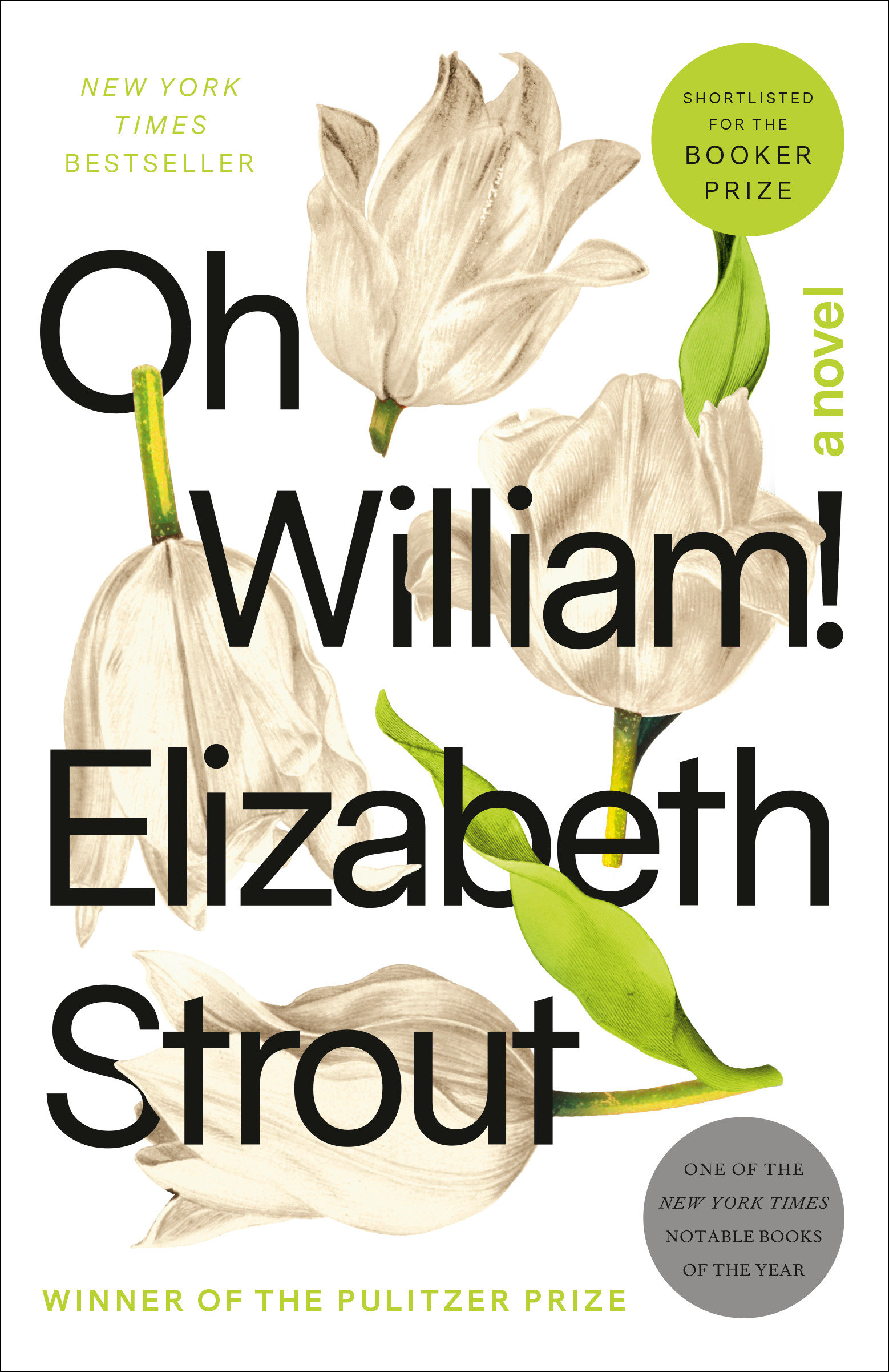 Oh William! by Elizabeth Strout
