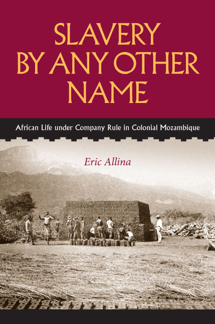 Slavery by Any Other Name by Eric Allina