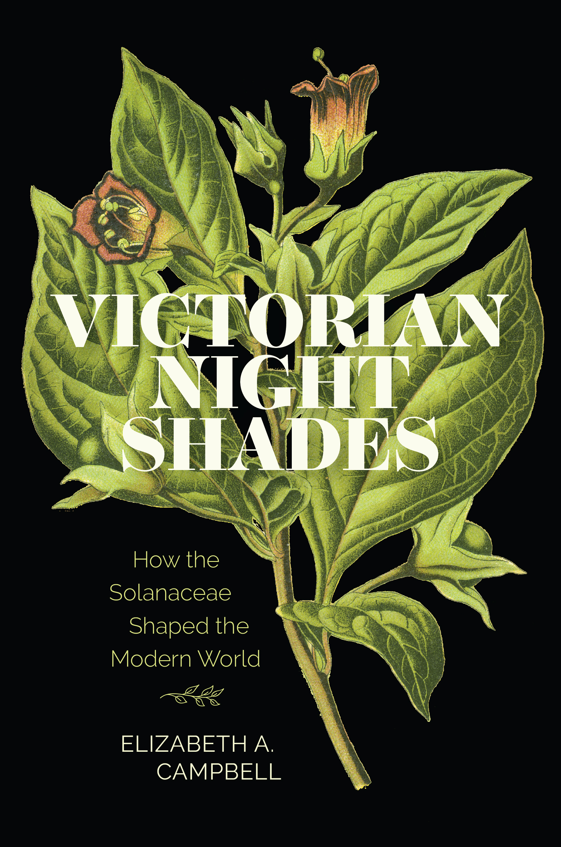 Victorian Nightshades by Elizabeth A. Campbell
