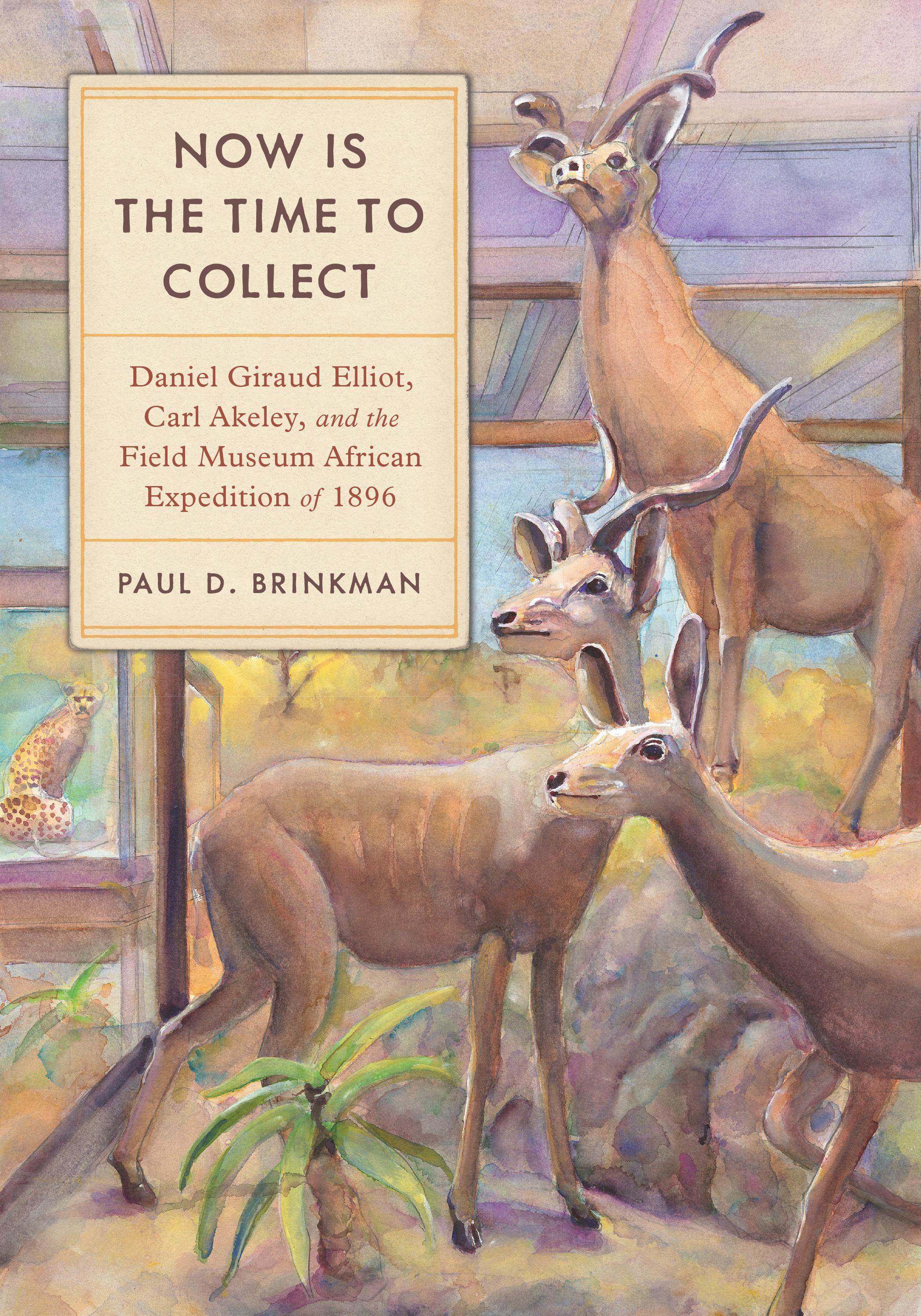 Now Is the Time to Collect by Paul D. Brinkman