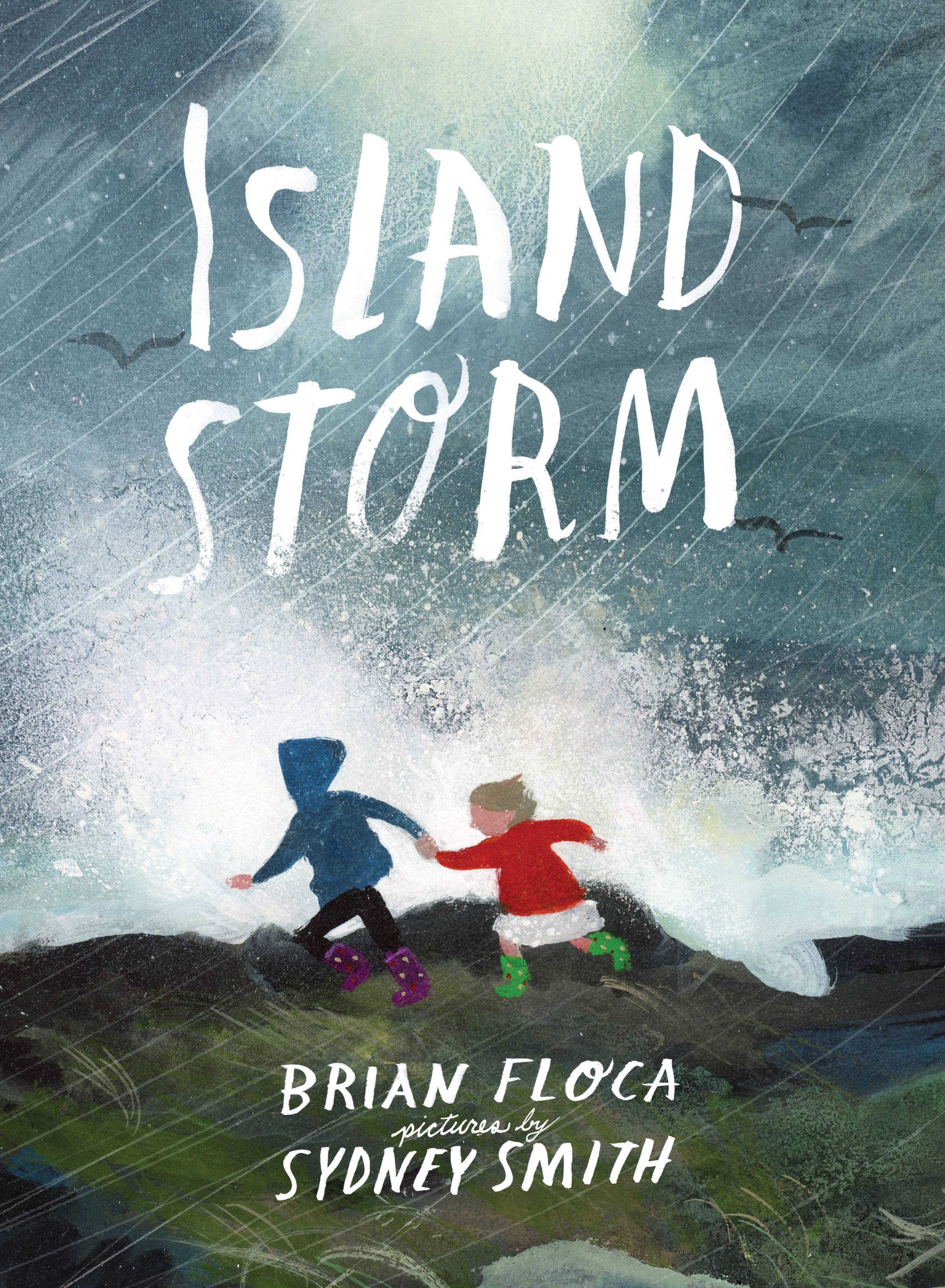 Island Storm by Brian Floca