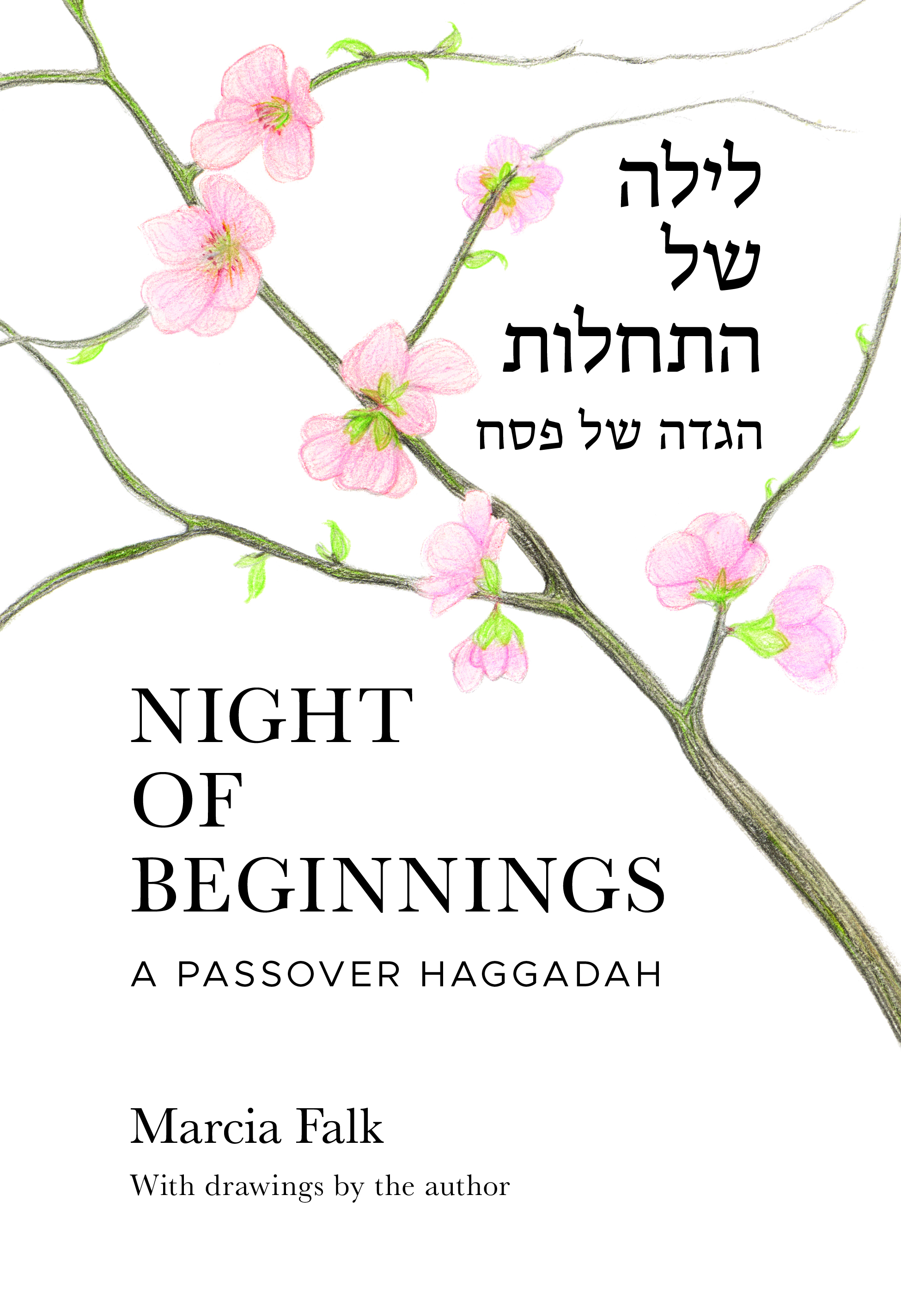 Night of Beginnings by Marcia Falk