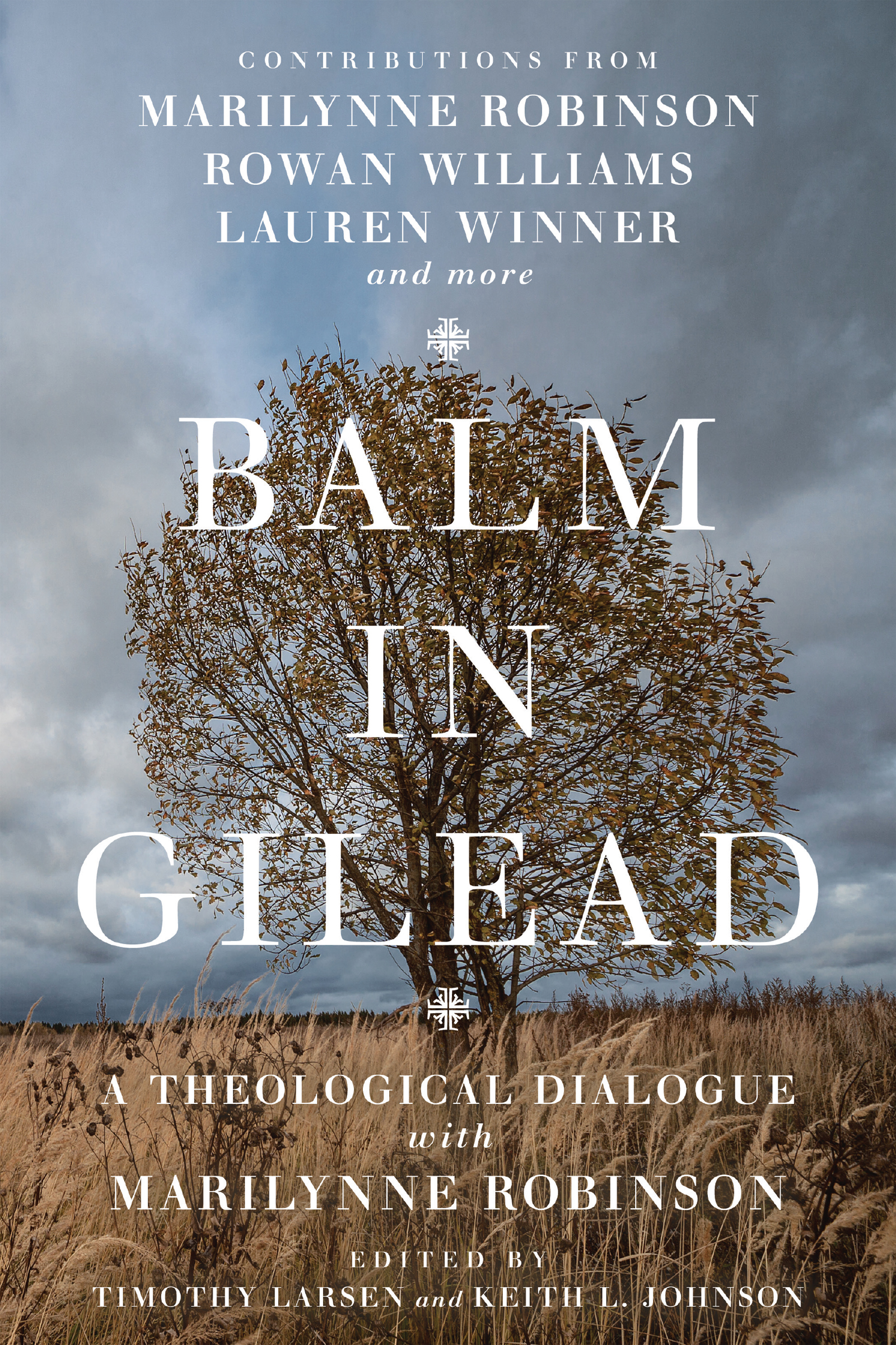 Balm in Gilead by Timothy Larsen