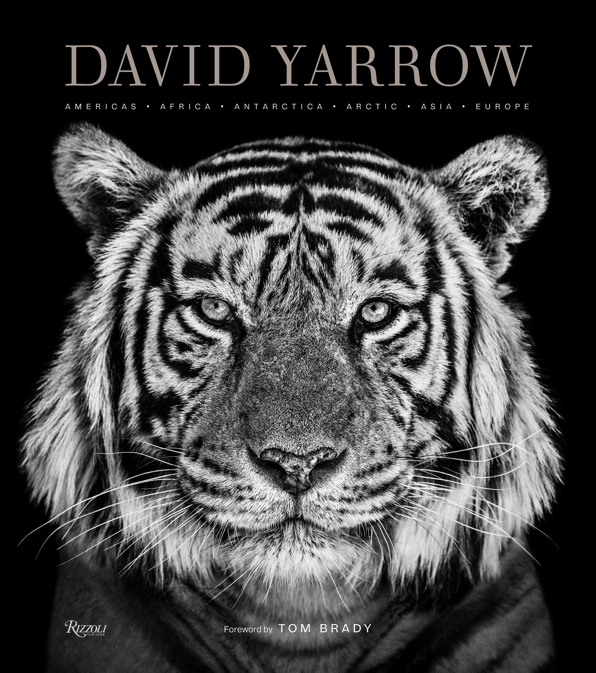 David Yarrow Photography by David Yarrow