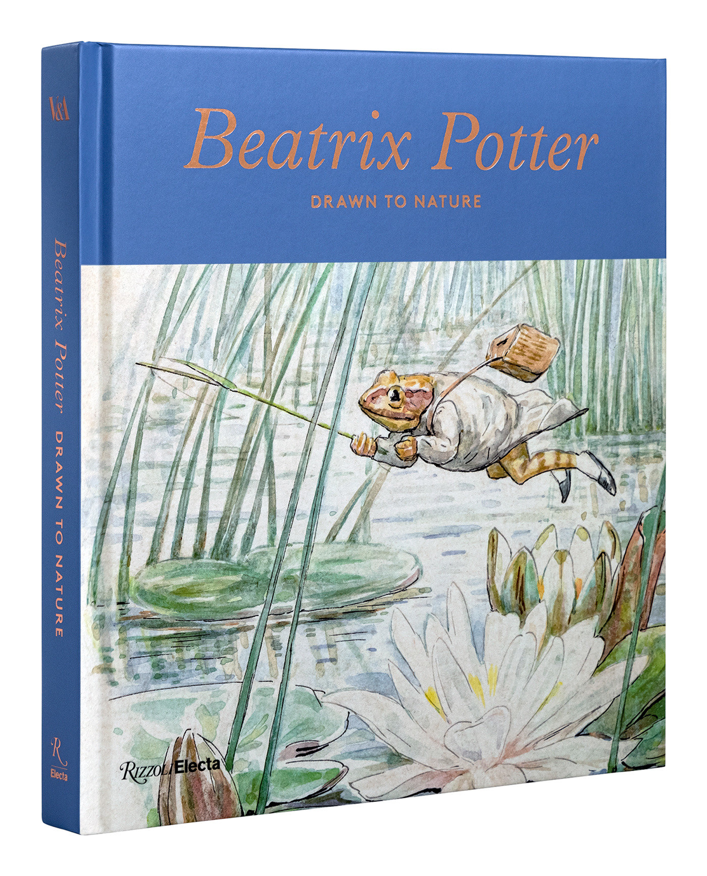 Beatrix Potter by Annemarie Bilclough