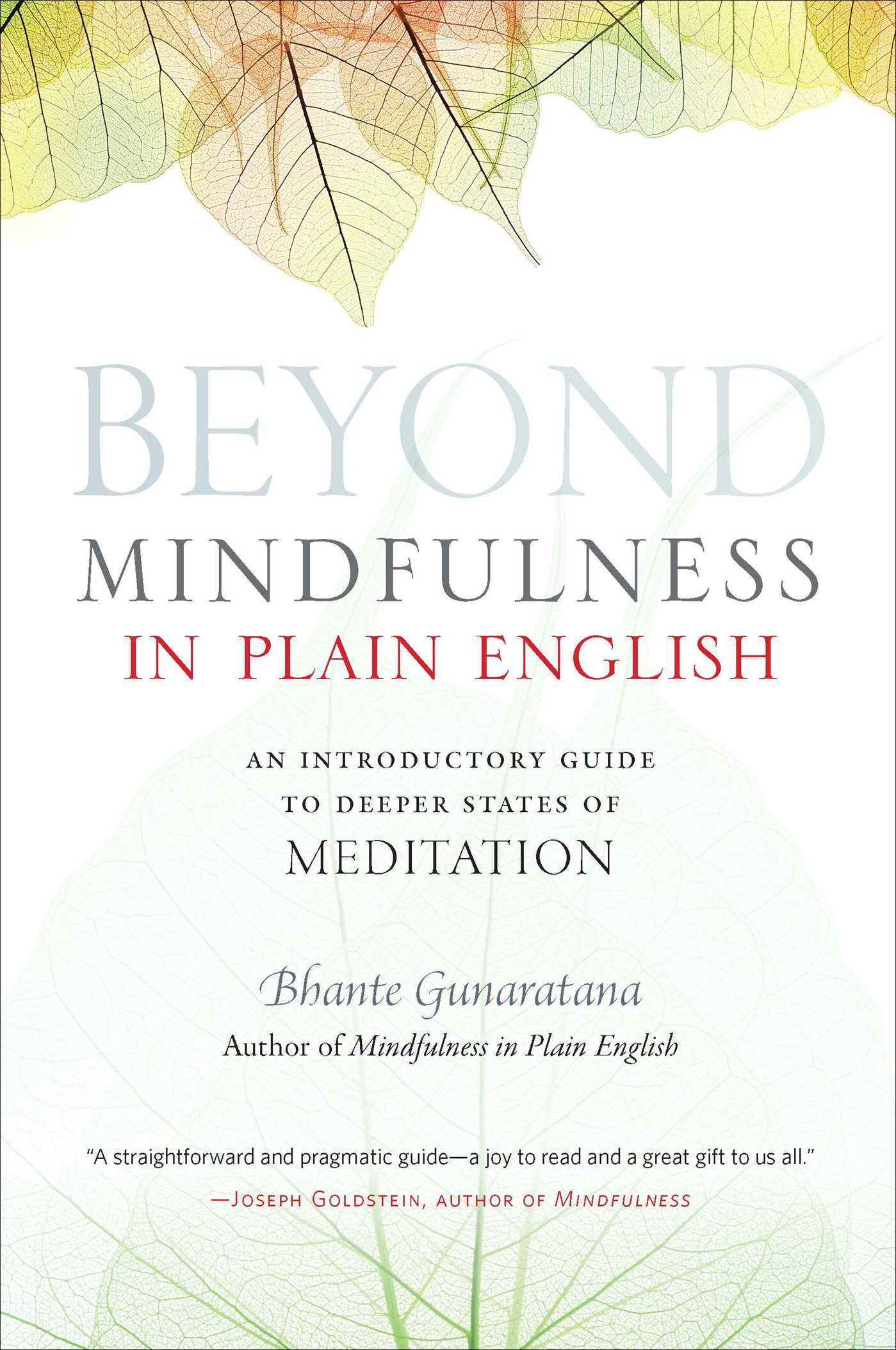 Beyond Mindfulness in Plain English by Bhante Gunaratana