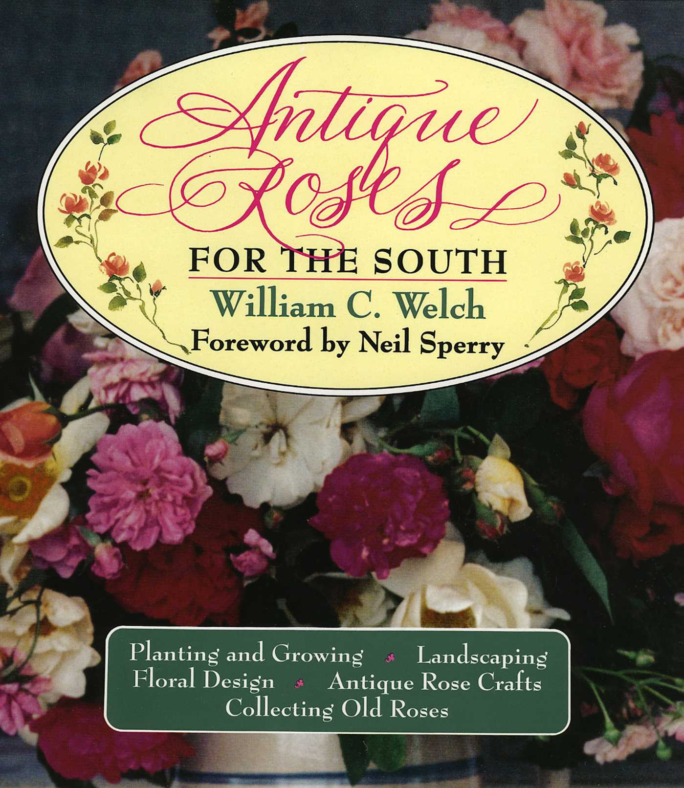 Antique Roses for the South by William C. Welch