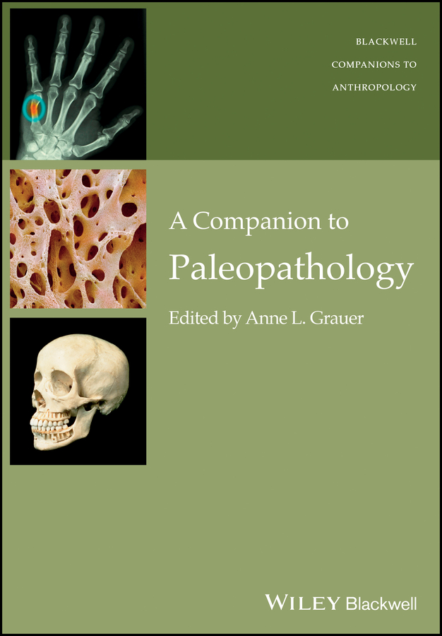 A Companion to Paleopathology by Anne L. Grauer