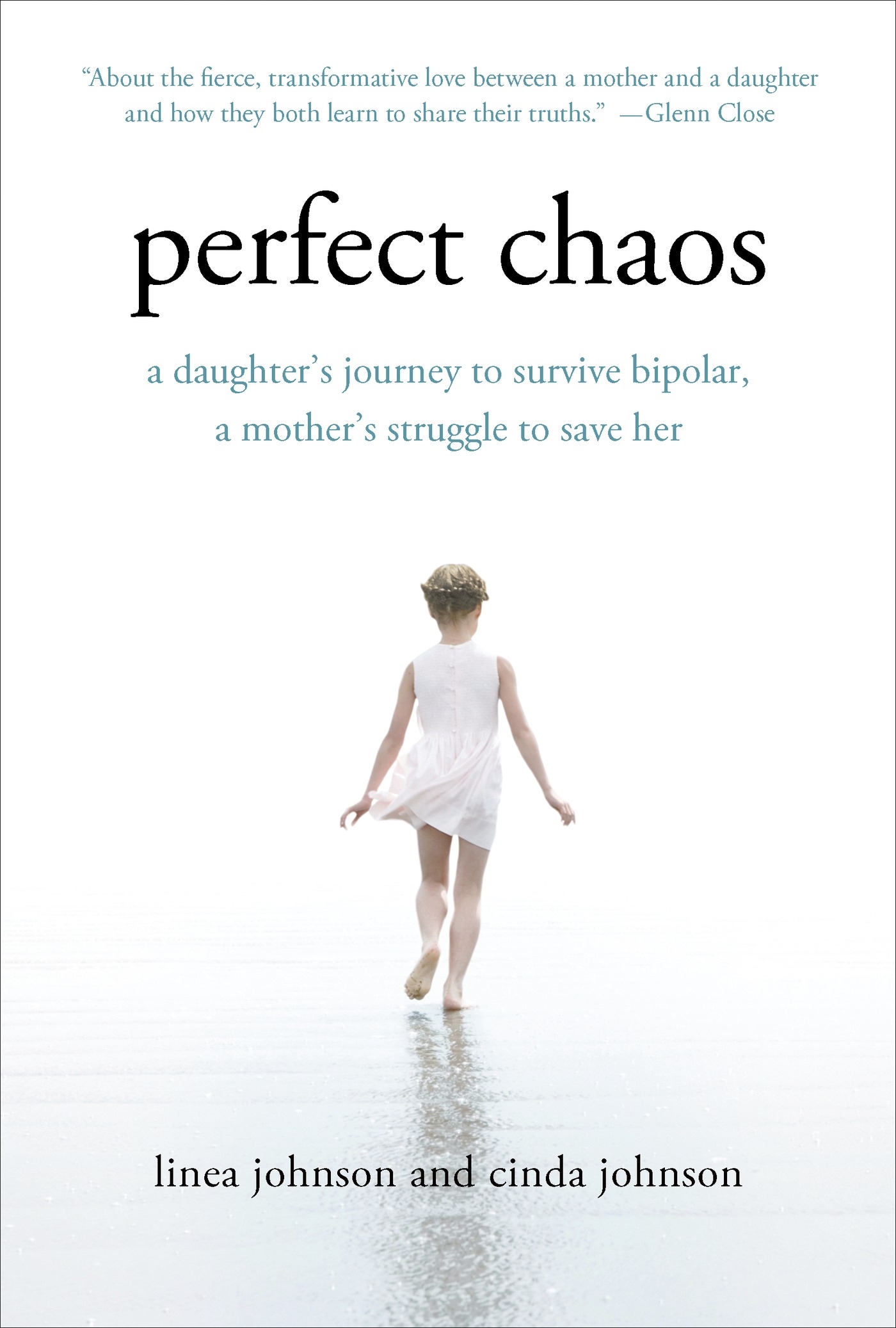 Perfect Chaos by Linea Johnson