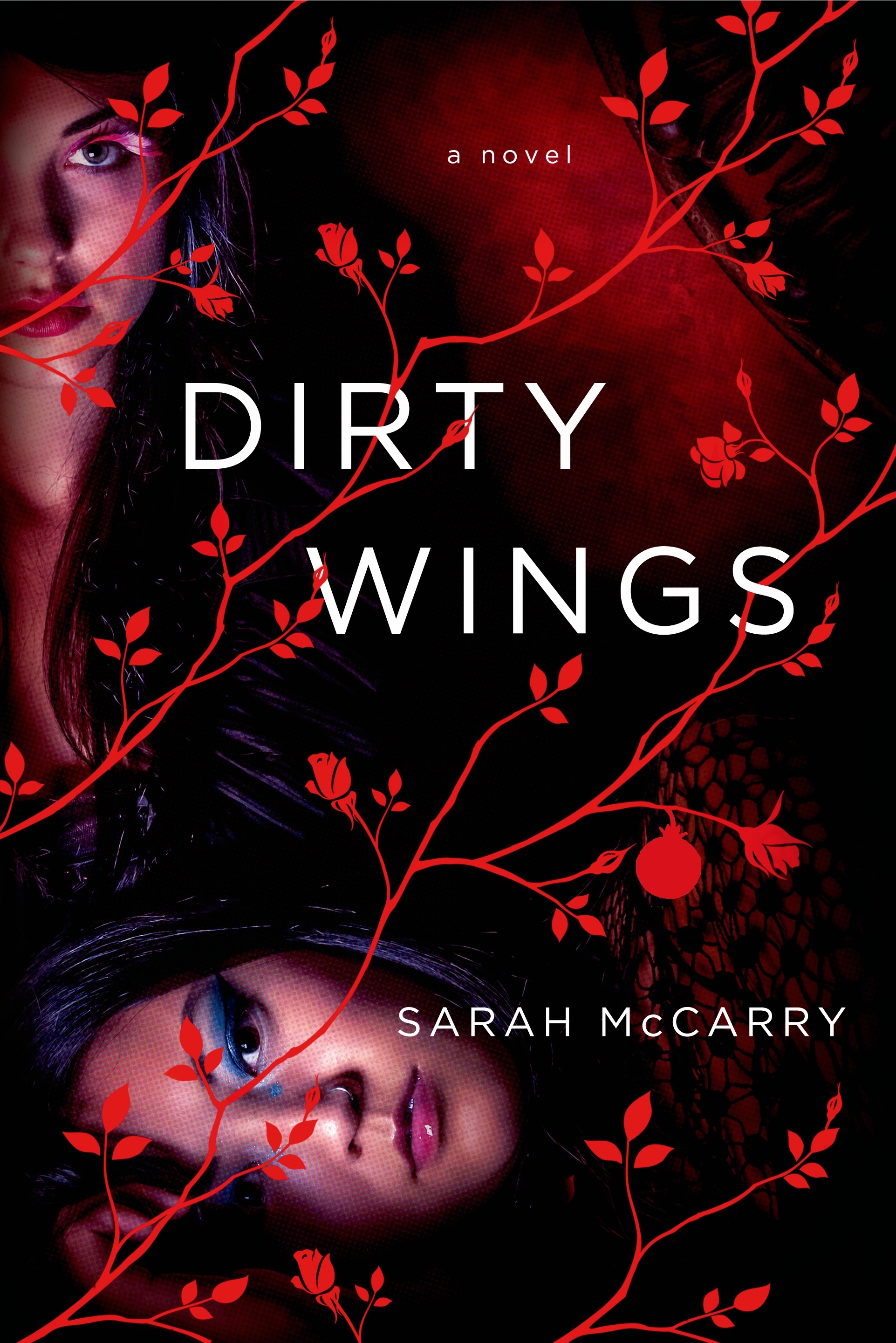 Dirty Wings by Sarah McCarry