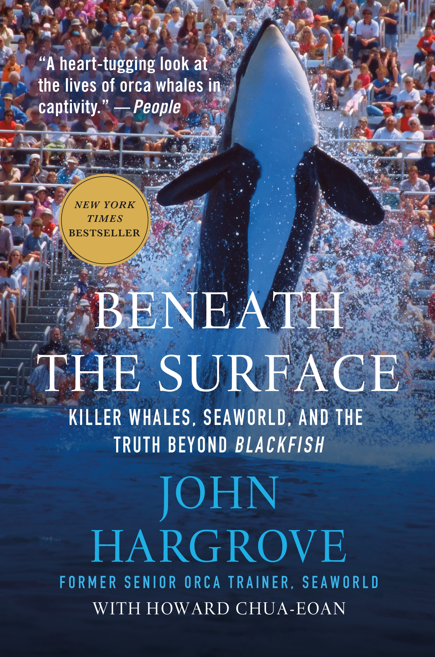 Beneath the Surface by John Hargrove
