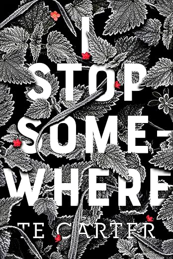 I Stop Somewhere by TE Carter