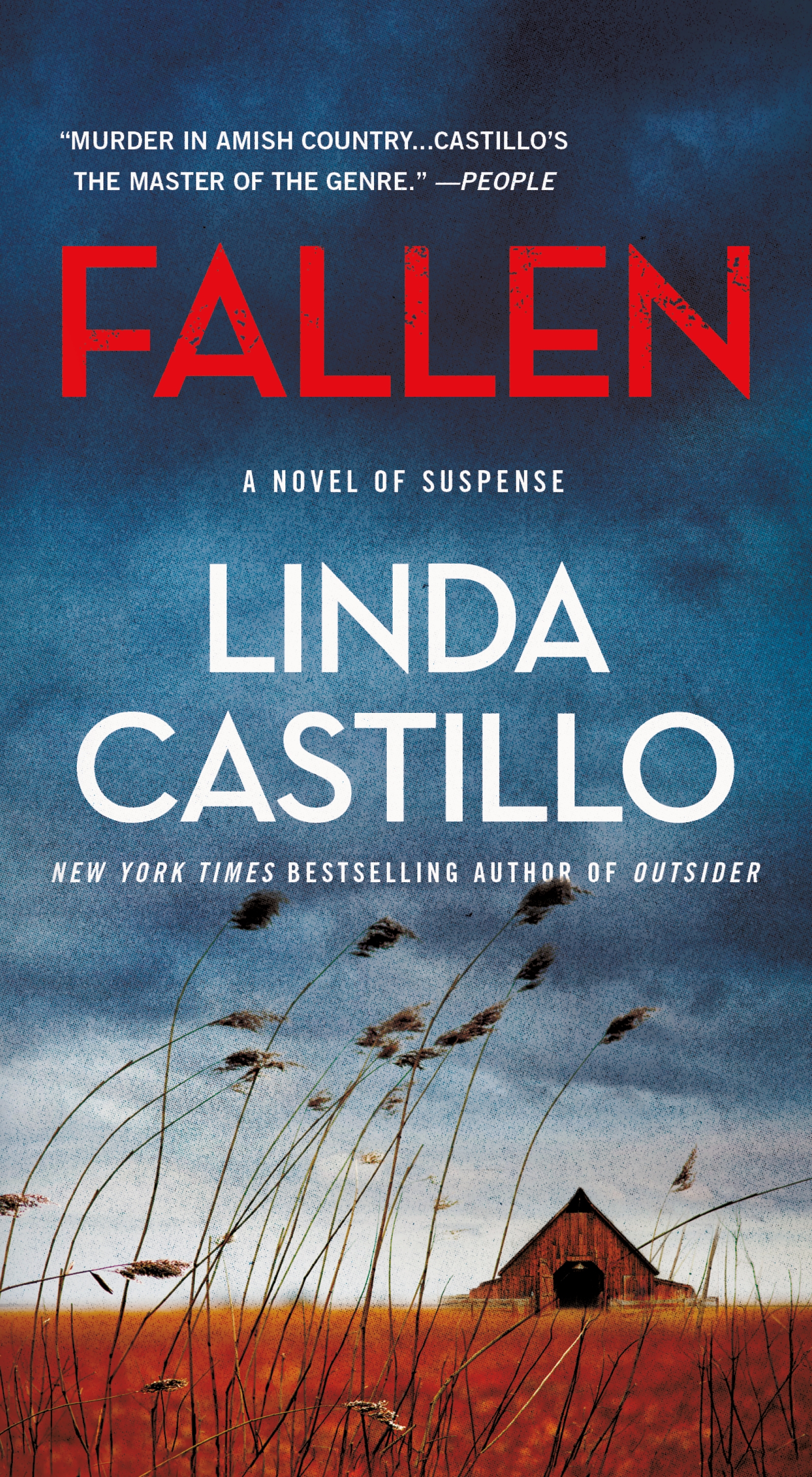 Fallen by Linda Castillo