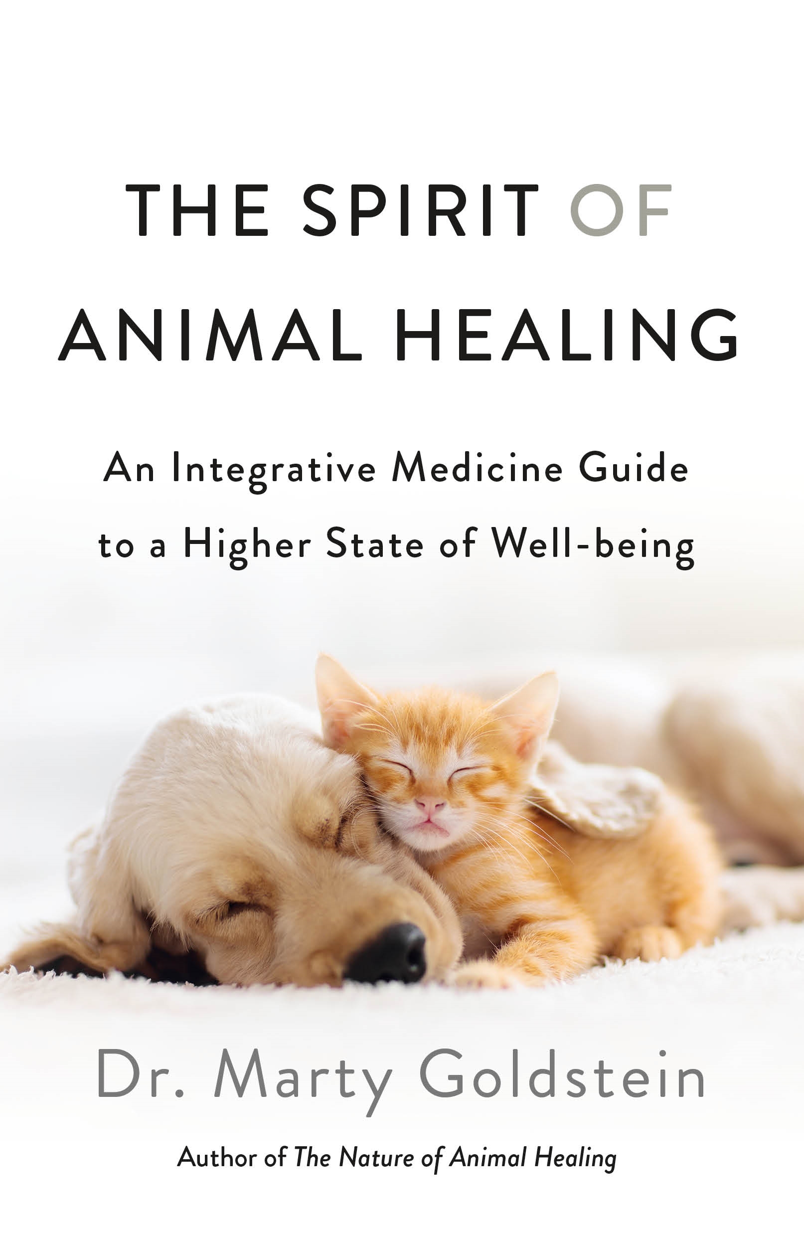 The Spirit of Animal Healing by Marty Goldstein