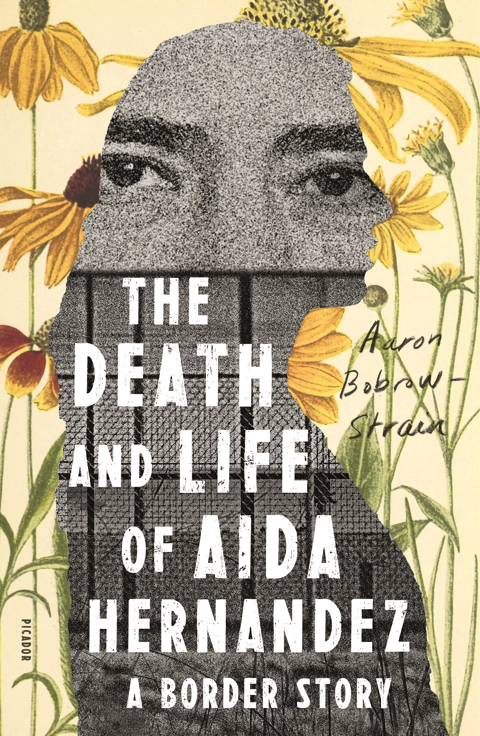 The Death and Life of Aida Hernandez by Aaron Bobrow-Strain